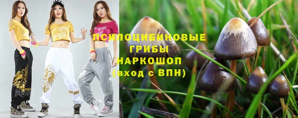 синтетический гашиш Заводоуковск